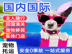 徐州航空物流国际宠物托运 【国
